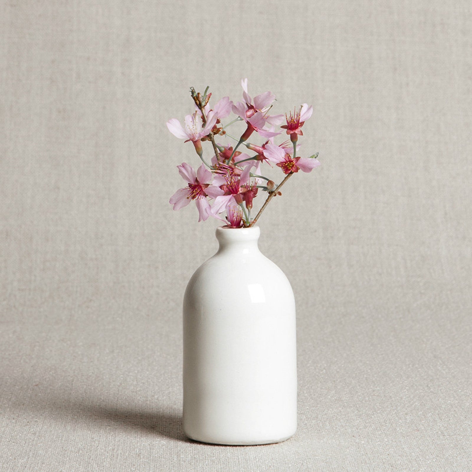 Miss Lizzie Bud Vase White main image 1