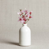 Smooth white porcelain bud vase holding delicate pink blossoms, 2 x 3.5 inches.