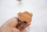 Speckled, textured clay base of the ceramic cactus held in hand.