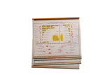 Detail of stacked vintage democracy charts, showing 