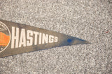 Faded cream 'HASTINGS' text on the vintage felt flag's worn, triangular tip.