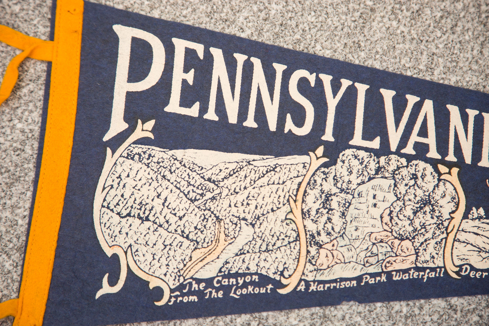 Pennsylvania's Grand Canyon Felt Flag // ONH Item 3099 Image 1
