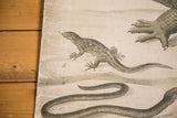Vintage school chart detail: a lizard, snake, and crocodile foot lithograph on aged paper.
