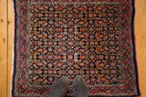 Classic Herati motif on dark indigo, featuring madder root red and brilliant blue tones.