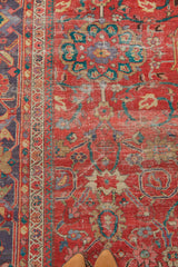 8.5x11.5 Antique Sultanabad Carpet // ONH Item 3214 Image 18