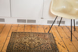 Antique Farahan Sarouk rug border and field with delicate tendrils in charcoal, sky blue, gold.