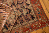 Antique Persian Hamadan rug, dark field of floral botehs, wide madder root red border with geometric vines.