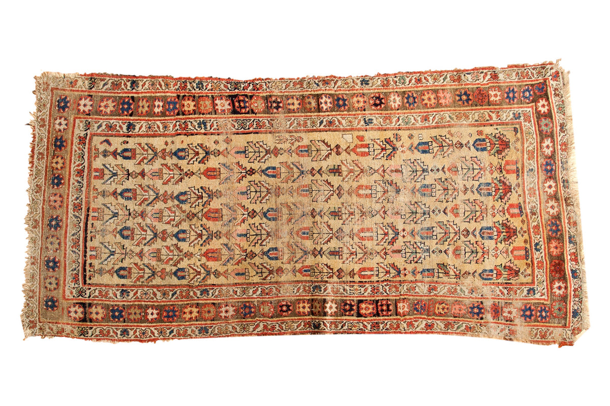 Antique Kurdish Bijar rug, pale saffron field, repeating blossoming tree design, 3'11" x 7'7".