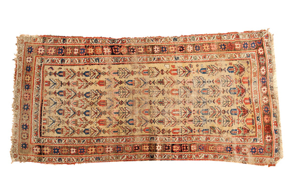 Antique Kurdish Bijar Rug