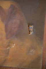 Close-up of canvas wear and holes on the antique dog portrait painting.