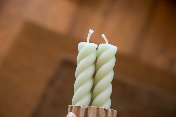 Made in NY Beeswax Candle Rope Tapers Celadon // ONH Item 3513 Image 1