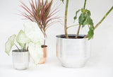 Sleek brushed silver Yield Modern Aluminum Planter, 16 inch diameter.