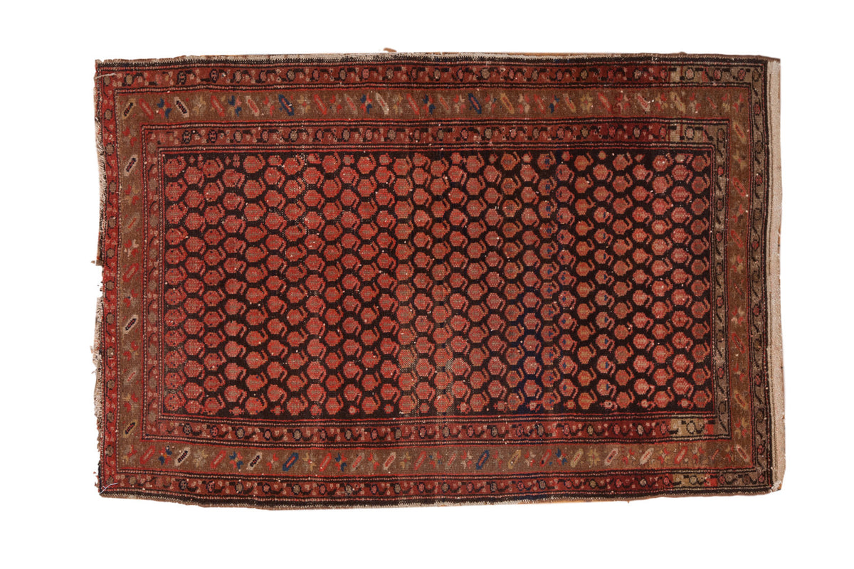 Vintage Hamadan rug, allover madder root red boteh pattern on charcoal, with bronze borders, 3'5" x 5'1".