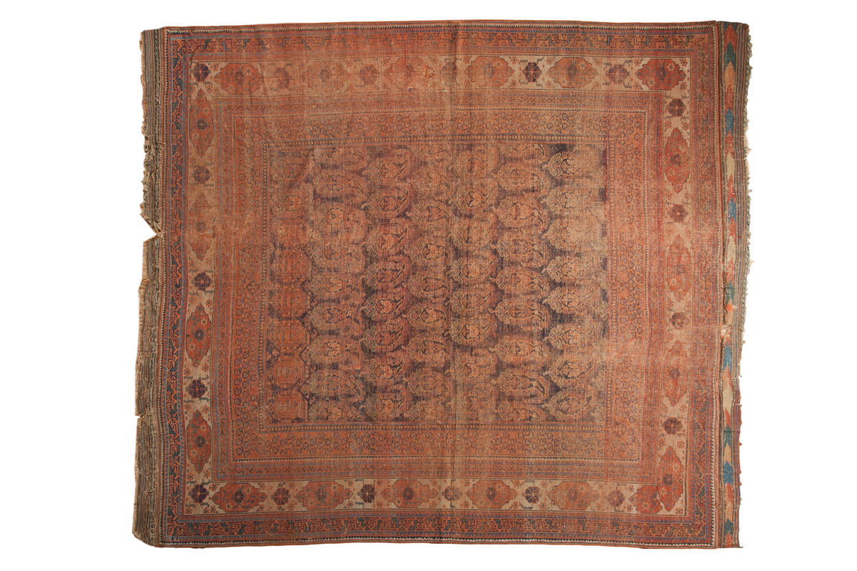 Rare antique Afshar tribal carpet with distressed madder red field and oversized paisley boteh design, 7'2" x 8'2".
