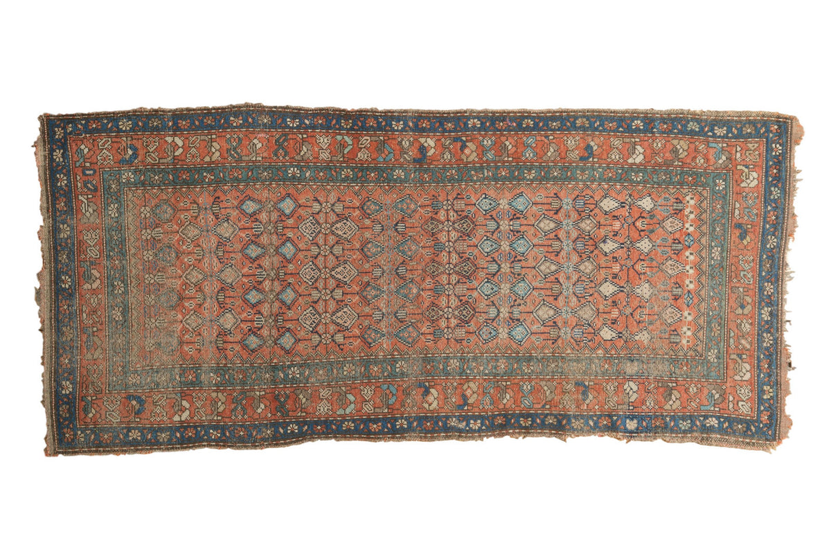 Antique Hamadan rug runner with allover terra cotta blush and blue germinating flower design.
