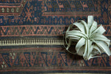Indigo and aubergine Laleh Abbasi pawn design in a hand-knotted antique Belouch rug.