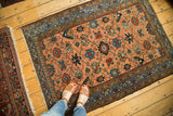 Antique Lilihan rug's peach apricot field, blue border, and detailed floral vinery.