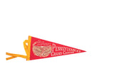 Vintage Pennsylvania Grand Canyon felt pennant, red with yellow trim, canyon illustration.