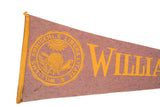 Yellow Williams College seal with globe, telescope, sun on muted felt flag.
