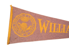 Vintage Williams College Felt Flag // ONH Item 3831 Image 1