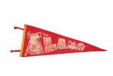 Vintage red felt Alamo pennant featuring historic illustrations and Texas Long Horn, 8x26.