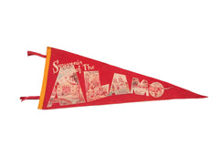 Souvenir of the Alamo with Texas Long Horn Felt Flag // ONH Item 3837