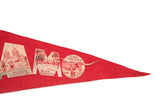 Souvenir of the Alamo vintage felt flag with Blue Bonnets and Texas Long Horn designs.