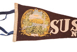 Delicately colored encircled imagery of water, bushes, and trees with golden frame on antique felt flag.