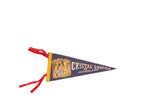 Vintage Crystal Grottoes of Maryland felt pennant in blue with a yellow border and red ties.