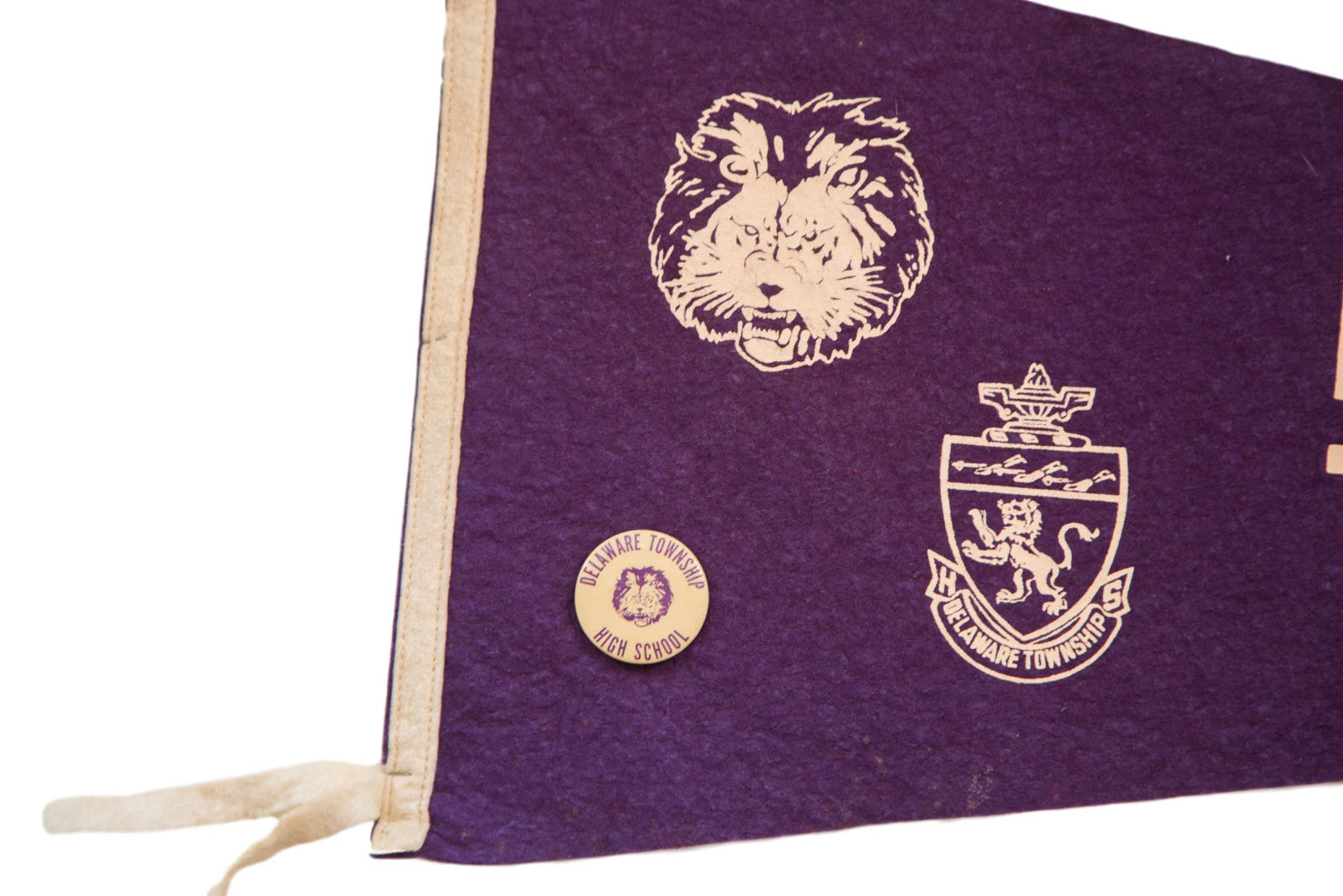 Delaware Township High NJ Lions with Pin Felt Flag // ONH Item 3884 Image 1