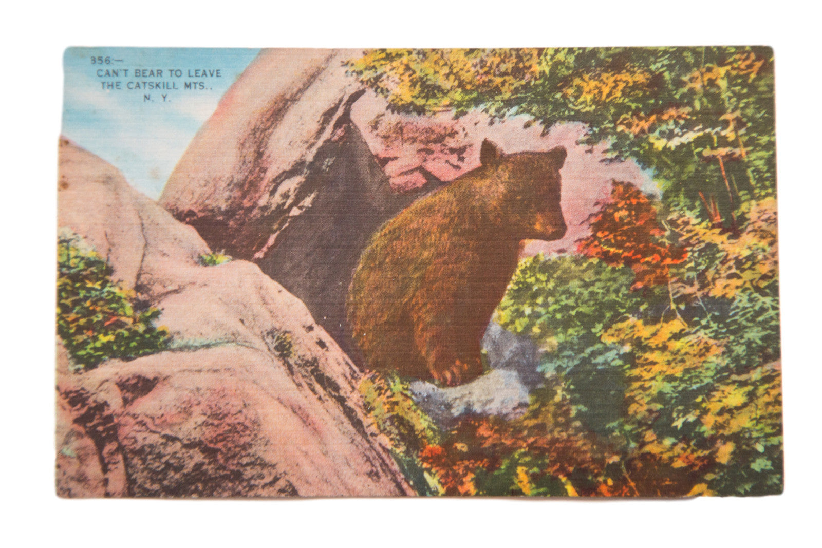 Vintage Can't Bear to Leave Catskills NY Postcard – Item #3897