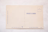 Cream back of vintage postcard with blue POST CARD text and publisher details.