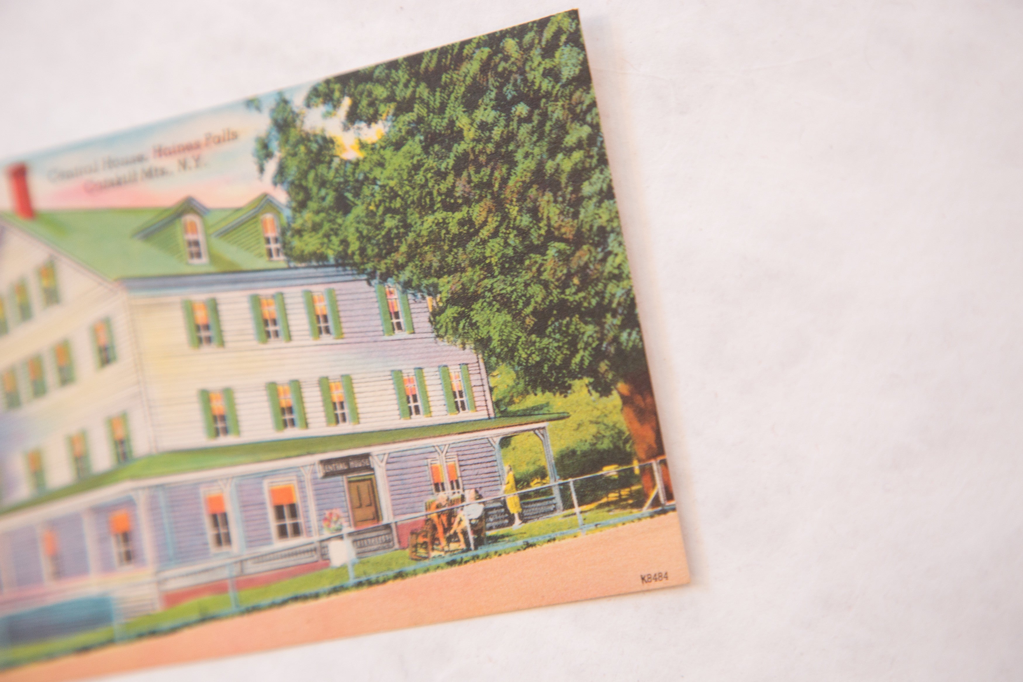 Vintage Central House Haines Falls Catskill Mountains New York Postcard