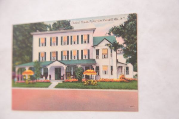 Vintage Central House Palenville Catskill Mountains Postcard