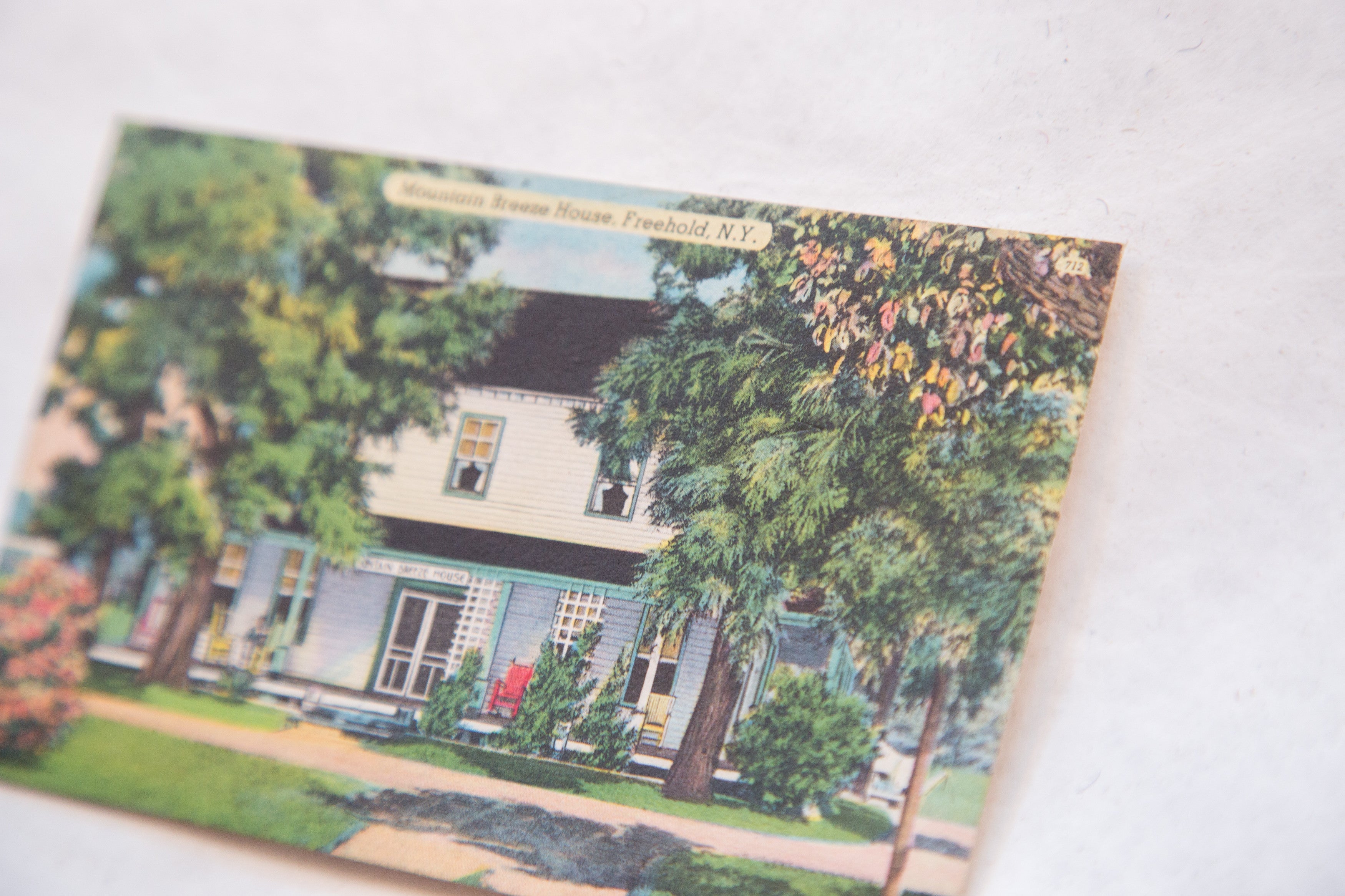 Vintage Catskills New York Postcard Mountain Breeze House Freehold Vintage Stationary