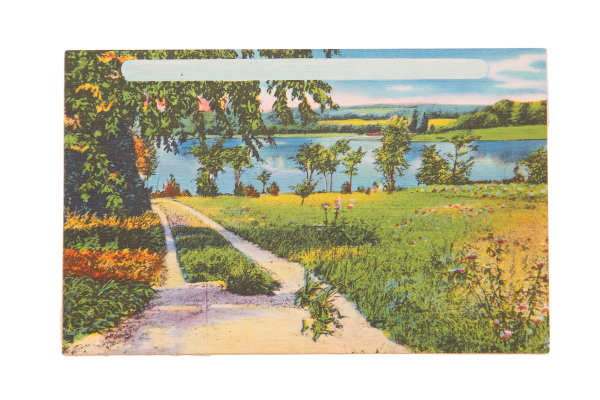 Vintage Catskills postcard depicting a winding path along a lakeside with lush green trees.