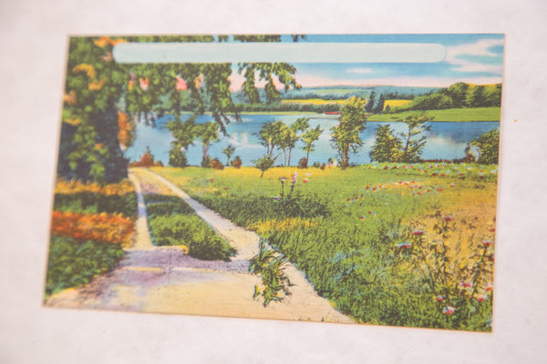 Vintage Catskills New York Postcard Path, Lake, and Trees