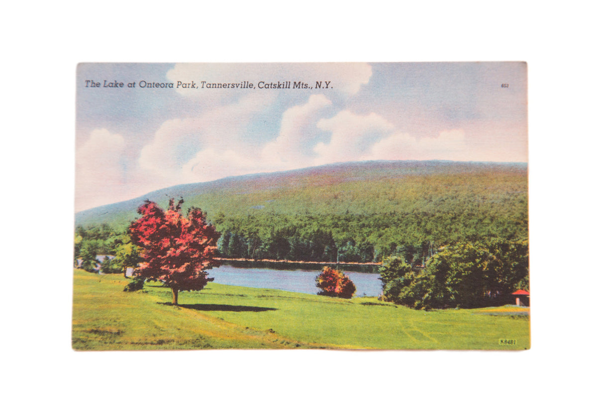 Vintage postcard of The Lake at Onteora Park with a red tree and forested mountains.