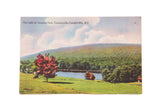 Vintage postcard of The Lake at Onteora Park with a red tree and forested mountains.
