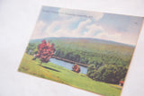 The printed texture and caption of a vintage Catskills postcard viewed from an angle.