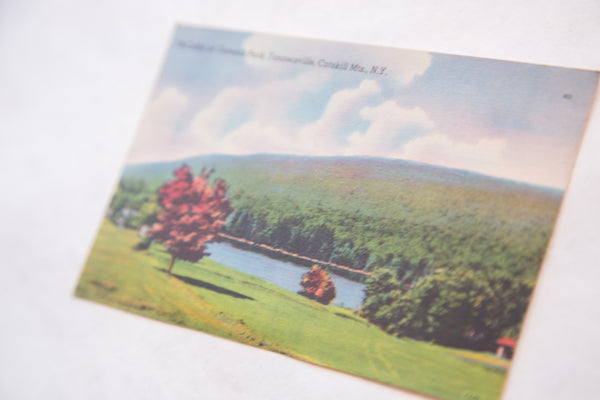 Vintage Catskills New York Postcard The Lake at Onteora Park Tannersville