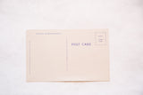 Reverse side of a vintage postcard showing the Colourpicture publisher credit and message space.