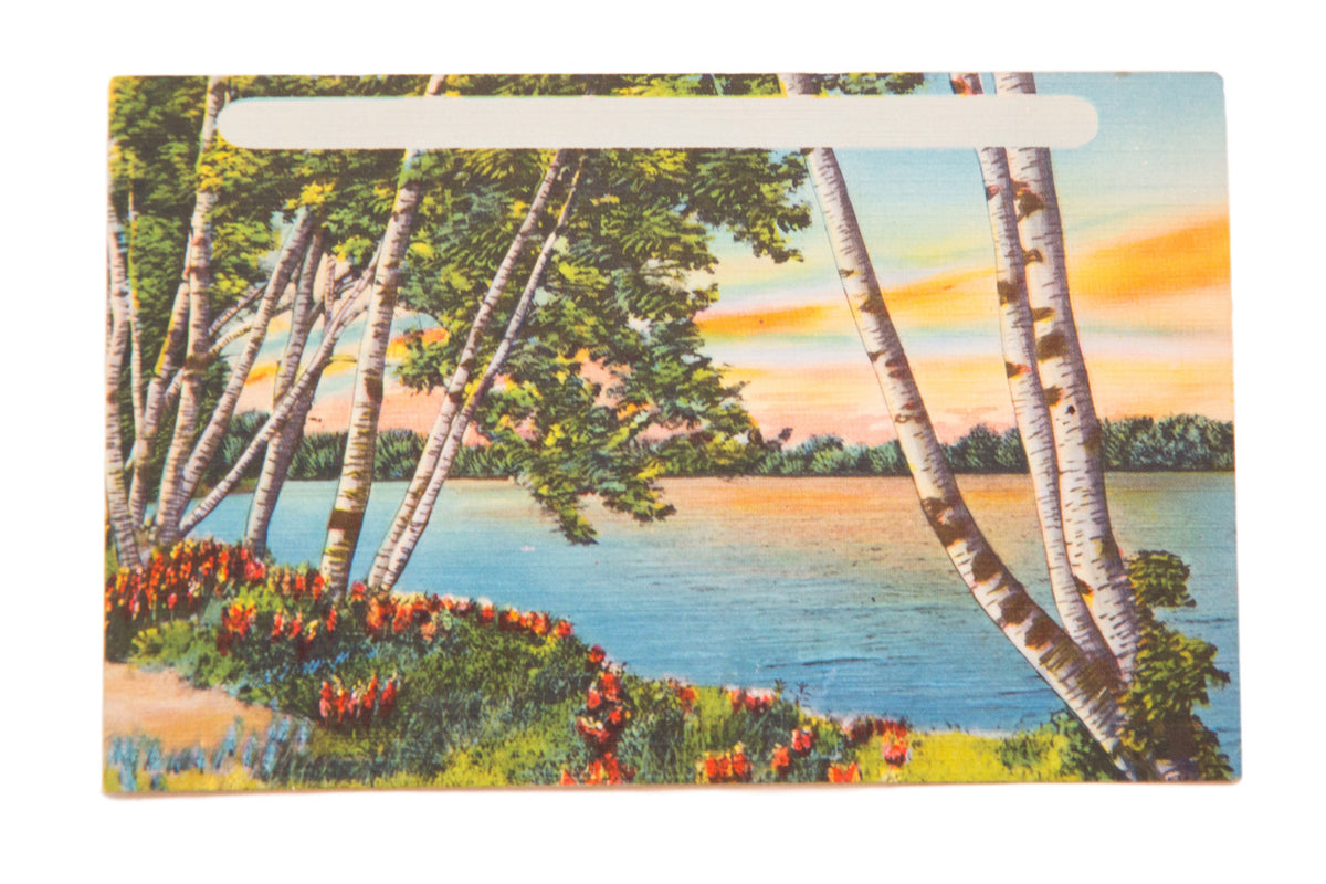 Vintage postcard of a Catskills lake with birch trees, red flowers, and a sunset sky.