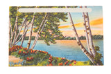 Vintage postcard of a Catskills lake with birch trees, red flowers, and a sunset sky.