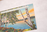 Angled view of a vintage Catskills postcard showing birch trees against a vibrant sunset over a lake.