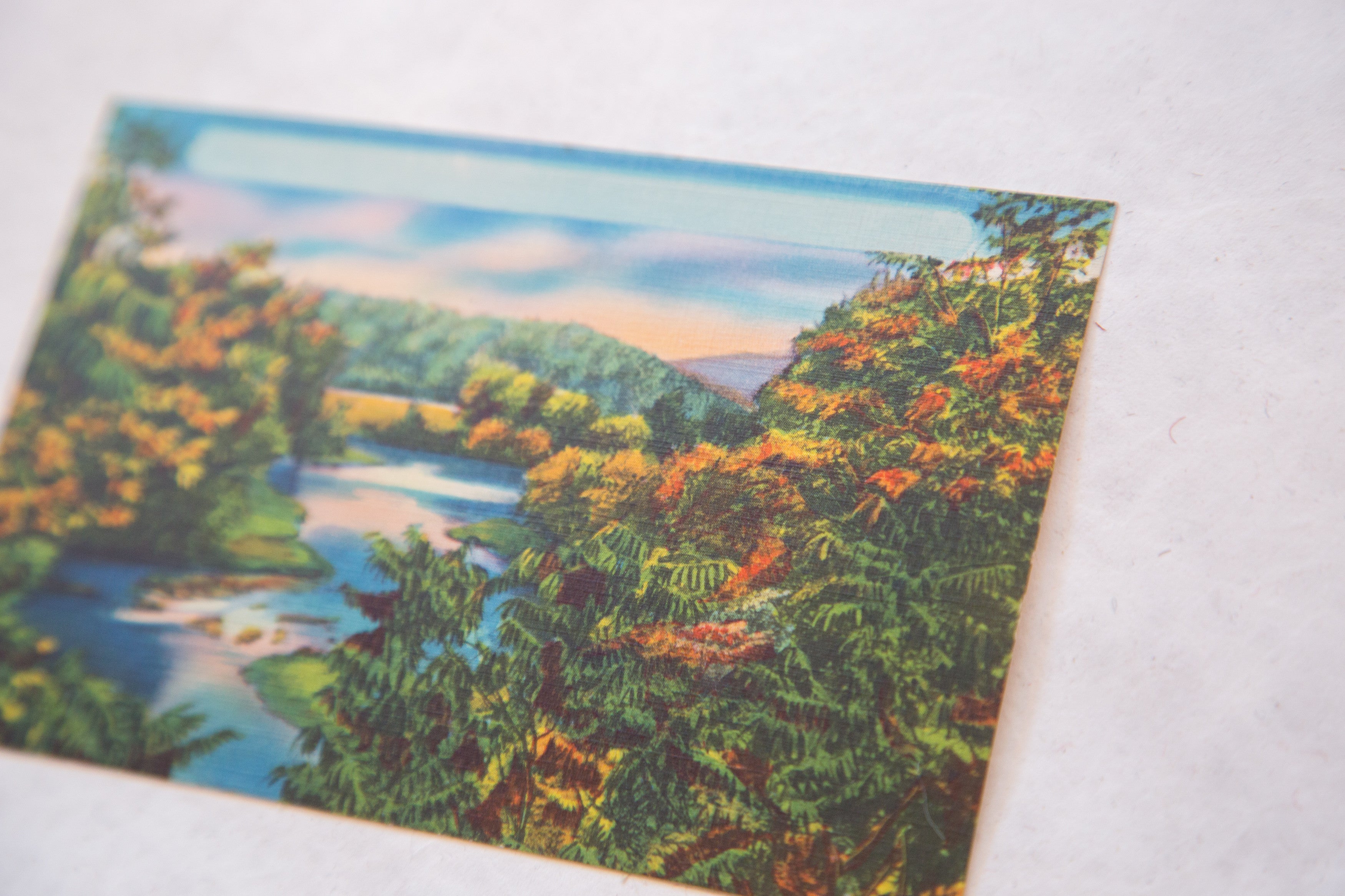 Vintage 1940's Catskills New York Postcard Landscape Scene with Lake and Mountain