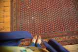 Antique Malayer rug's left border, Mir Serbend design, and allover rust-indigo boteh field.