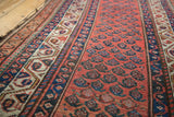 Textured madder red field of Hamadan runner with navy boteh and vine border.