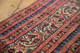 Antique Malayer rug runner: intricate borders with meandering vine, pawn, Serbend vinery in brick red, sky blue.