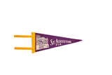 Vintage St. Augustine Florida purple felt pennant with yellow trim, Fountain of Youth graphic.